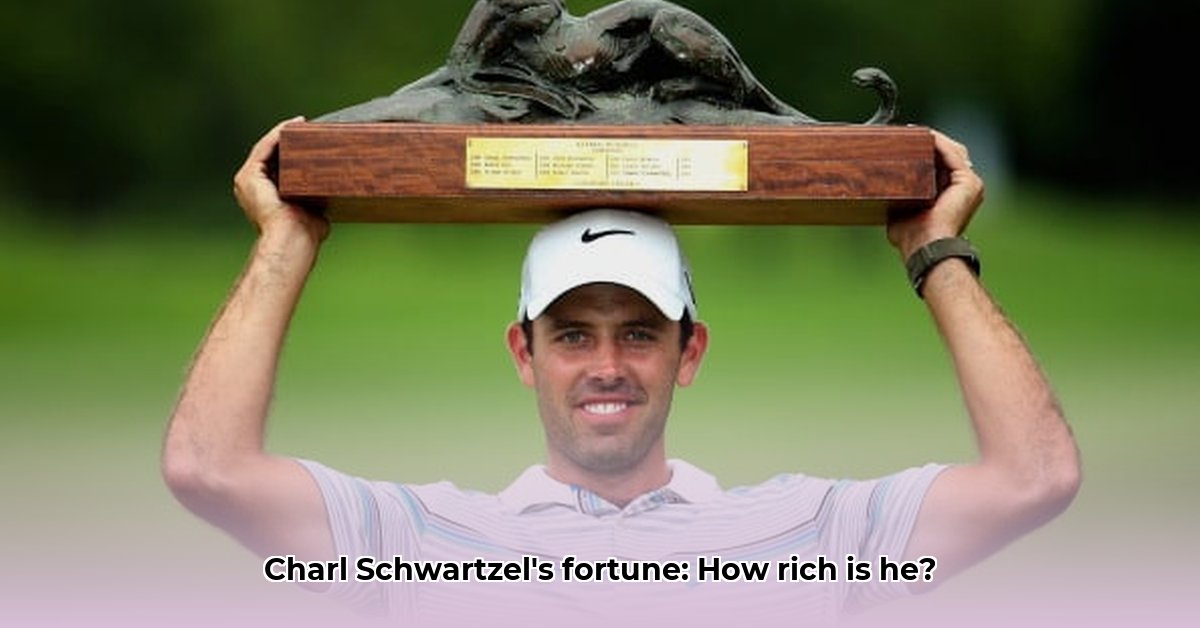 charl-schwartzel-net-worth